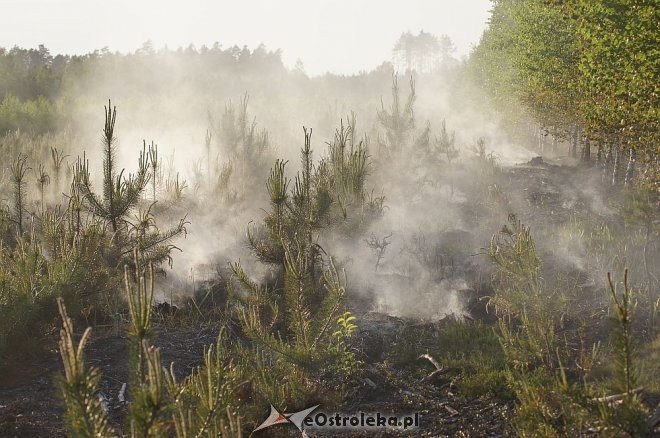 Gigantyczny pożar lasu w gminie Kadzidło [24.05.2014] - zdjęcie #57 - eOstroleka.pl