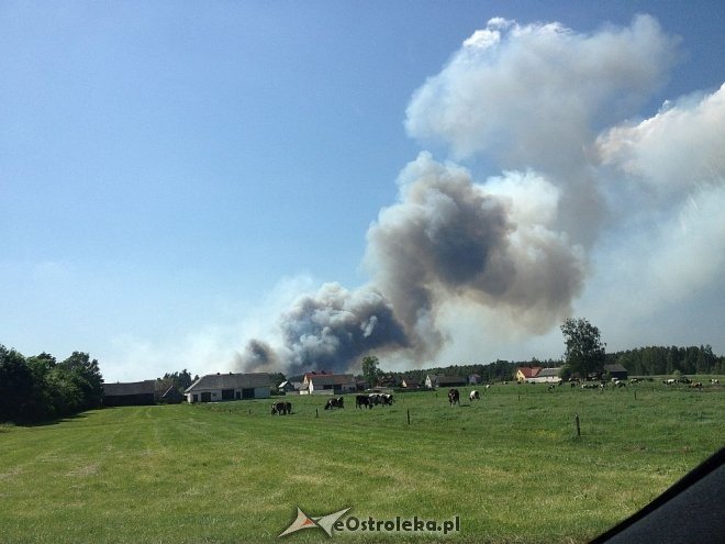Gigantyczny pożar lasu w gminie Kadzidło [24.05.2014] - zdjęcie #66 - eOstroleka.pl