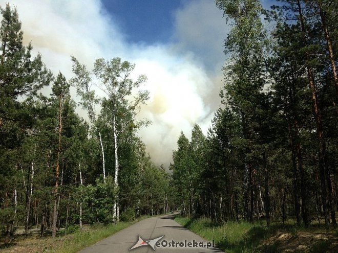 Gigantyczny pożar lasu w gminie Kadzidło [24.05.2014] - zdjęcie #67 - eOstroleka.pl