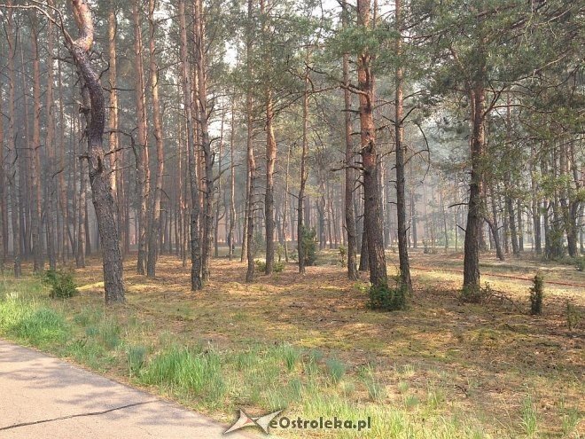 Gigantyczny pożar lasu w gminie Kadzidło [24.05.2014] - zdjęcie #69 - eOstroleka.pl