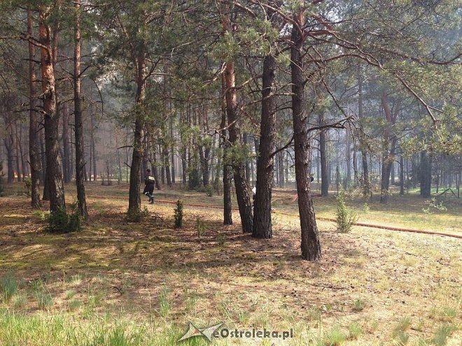 Gigantyczny pożar lasu w gminie Kadzidło [24.05.2014] - zdjęcie #70 - eOstroleka.pl