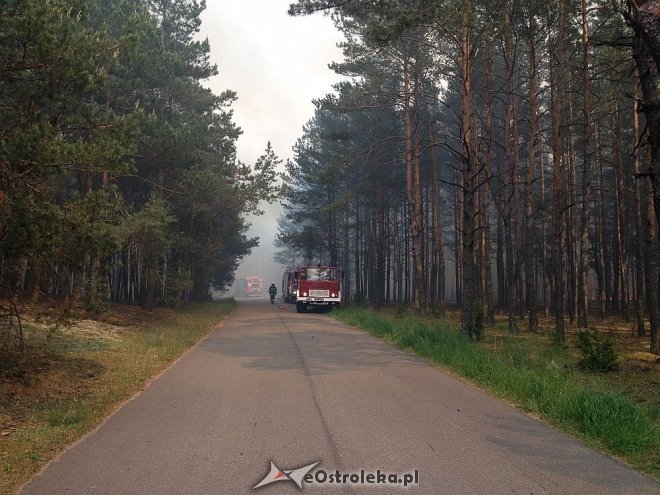 Gigantyczny pożar lasu w gminie Kadzidło [24.05.2014] - zdjęcie #71 - eOstroleka.pl