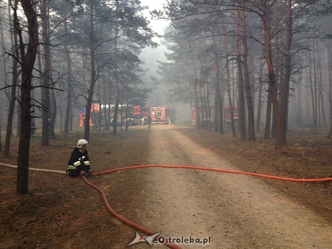 Gigantyczny pożar lasu w gminie Kadzidło [24.05.2014] - zdjęcie #72 - eOstroleka.pl