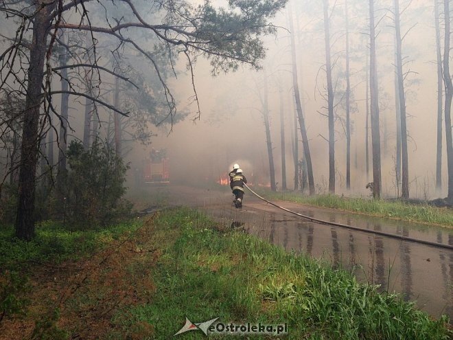 Gigantyczny pożar lasu w gminie Kadzidło [24.05.2014] - zdjęcie #77 - eOstroleka.pl