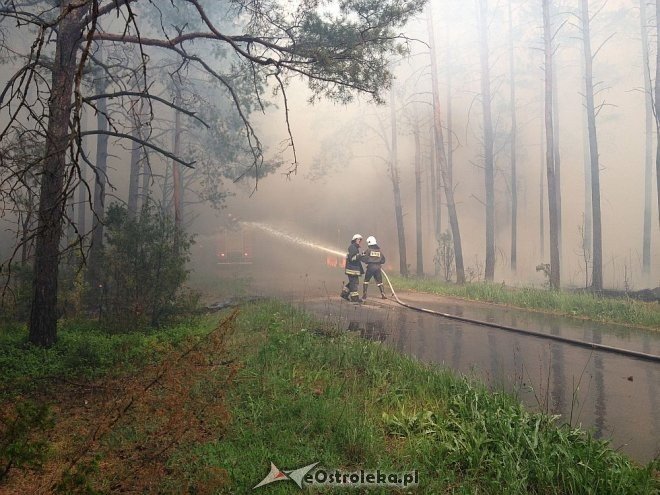 Gigantyczny pożar lasu w gminie Kadzidło [24.05.2014] - zdjęcie #8 - eOstroleka.pl