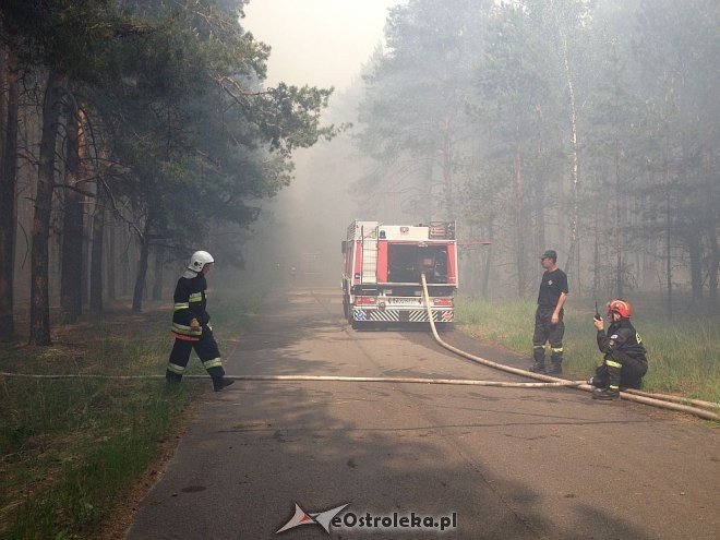 Gigantyczny pożar lasu w gminie Kadzidło [24.05.2014] - zdjęcie #6 - eOstroleka.pl