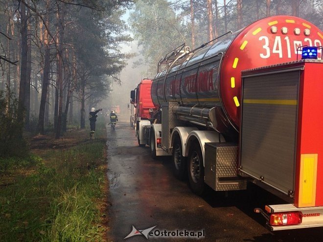 Gigantyczny pożar lasu w gminie Kadzidło [24.05.2014] - zdjęcie #5 - eOstroleka.pl