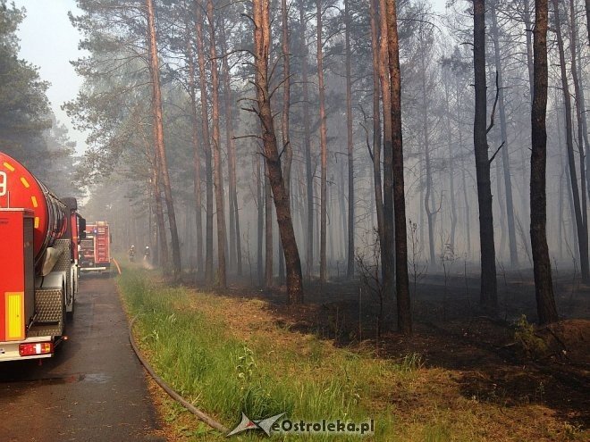 Gigantyczny pożar lasu w gminie Kadzidło [24.05.2014] - zdjęcie #4 - eOstroleka.pl