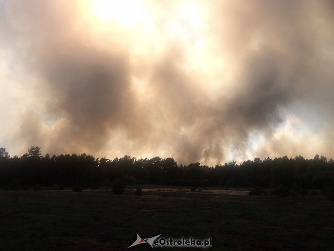 Gigantyczny pożar lasu w gminie Kadzidło [24.05.2014] - zdjęcie #84 - eOstroleka.pl