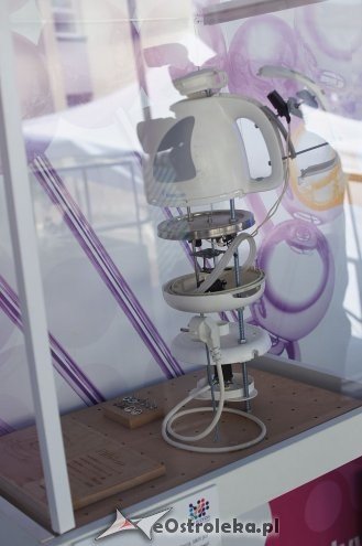 IV edycja Targów Czas Na Kurpie - Kupuj Lokalne Produkty [25.05.2014] - zdjęcie #10 - eOstroleka.pl