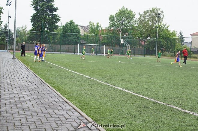 Piknik – „Bez Tajemnic” w SP 6 w Ostrołęce [06.06.2014] - zdjęcie #5 - eOstroleka.pl