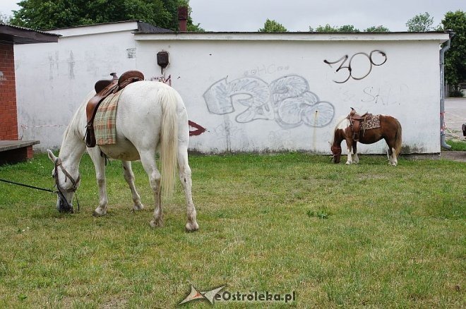 II Ostrołęckie Spotkania Spółdzielcze [15.06.2014]	 - zdjęcie #57 - eOstroleka.pl
