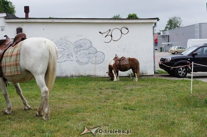 II Ostrołęckie Spotkania Spółdzielcze [15.06.2014]	 - zdjęcie #55 - eOstroleka.pl