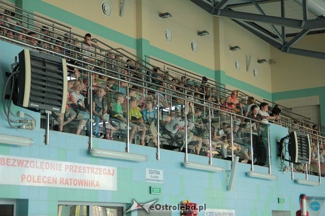 Podsumowanie projektu Parku Wodnego Aquarium [17.06.2014] - zdjęcie #64 - eOstroleka.pl