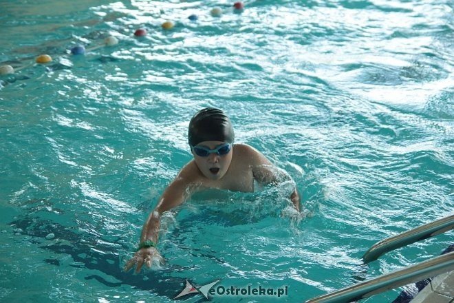 Podsumowanie projektu Parku Wodnego Aquarium [17.06.2014] - zdjęcie #22 - eOstroleka.pl