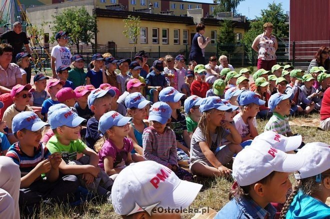 „Bajkowy Kogiel-Mogiel” w Krainie Misiów [19.06.2014] - zdjęcie #6 - eOstroleka.pl
