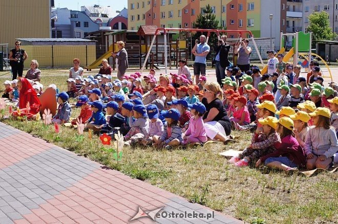 „Bajkowy Kogiel-Mogiel” w Krainie Misiów [19.06.2014] - zdjęcie #38 - eOstroleka.pl