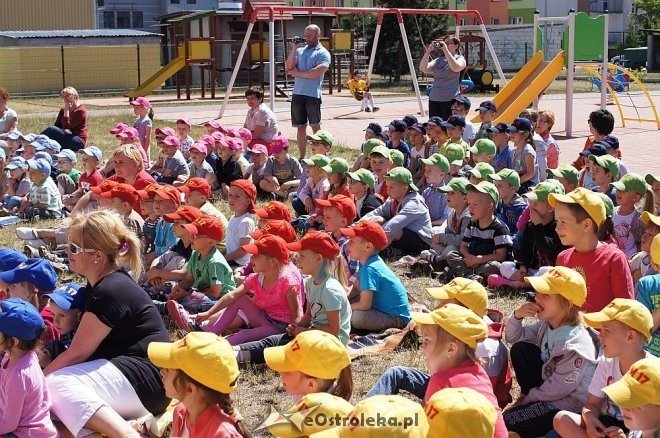 „Bajkowy Kogiel-Mogiel” w Krainie Misiów [19.06.2014] - zdjęcie #33 - eOstroleka.pl
