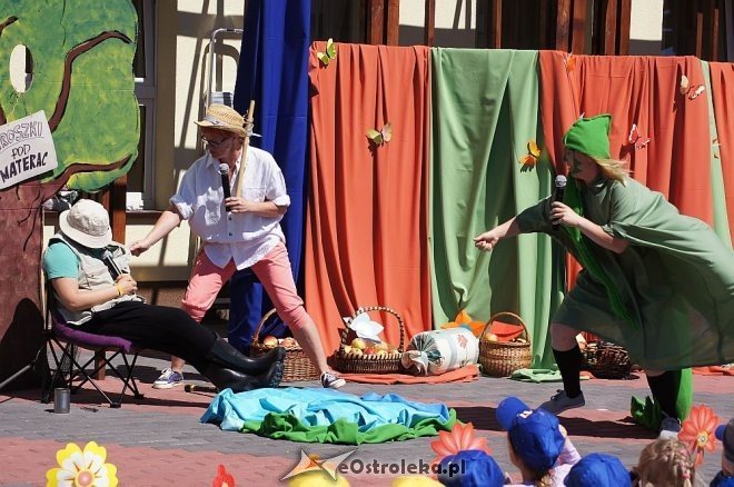 „Bajkowy Kogiel-Mogiel” w Krainie Misiów [19.06.2014] - zdjęcie #1 - eOstroleka.pl