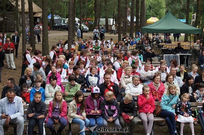 Światowy Zjazd Kurpiów i Wesele Kurpiowskie 2014 [21.06.2014] - zdjęcie #87 - eOstroleka.pl
