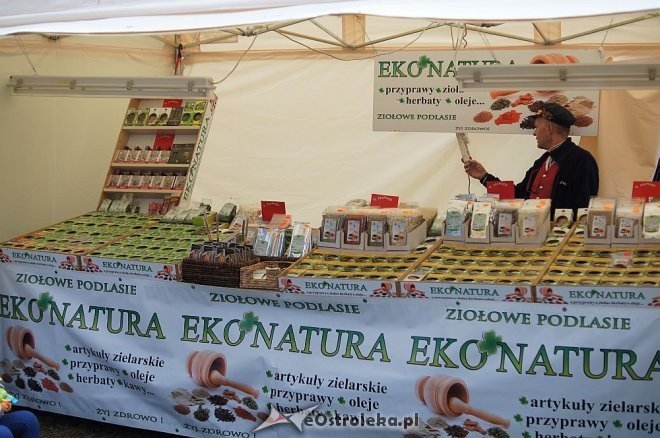 Światowy Zjazd Kurpiów i Wesele Kurpiowskie 2014 [21.06.2014] - zdjęcie #81 - eOstroleka.pl