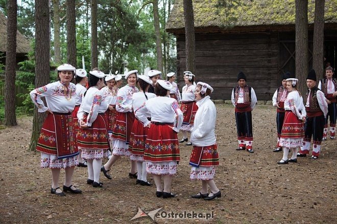 Światowy Zjazd Kurpiów i Wesele Kurpiowskie 2014 [21.06.2014] - zdjęcie #55 - eOstroleka.pl