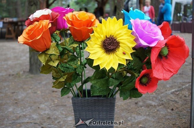 Światowy Zjazd Kurpiów i Wesele Kurpiowskie 2014 [21.06.2014] - zdjęcie #47 - eOstroleka.pl