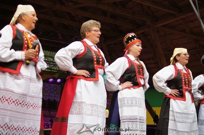 Światowy Zjazd Kurpiów i Wesele Kurpiowskie 2014 [21.06.2014] - zdjęcie #43 - eOstroleka.pl