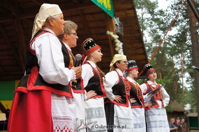 Światowy Zjazd Kurpiów i Wesele Kurpiowskie 2014 [21.06.2014] - zdjęcie #41 - eOstroleka.pl