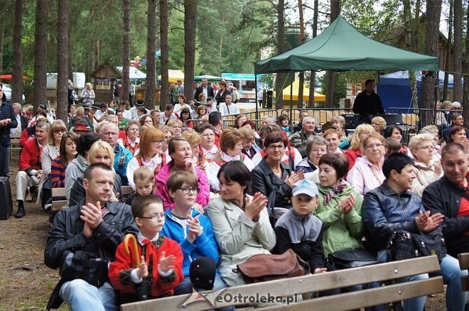 Światowy Zjazd Kurpiów i Wesele Kurpiowskie 2014 [21.06.2014] - zdjęcie #35 - eOstroleka.pl
