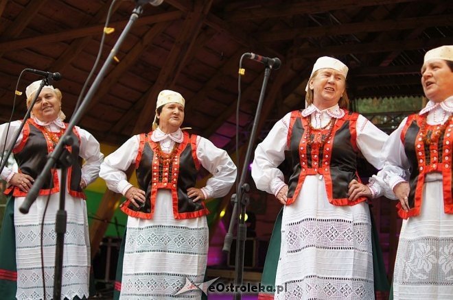 Światowy Zjazd Kurpiów i Wesele Kurpiowskie 2014 [21.06.2014] - zdjęcie #29 - eOstroleka.pl