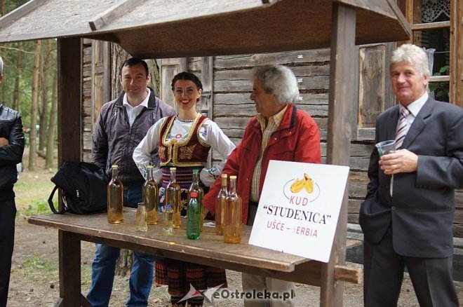 Światowy Zjazd Kurpiów i Wesele Kurpiowskie 2014 [21.06.2014] - zdjęcie #28 - eOstroleka.pl