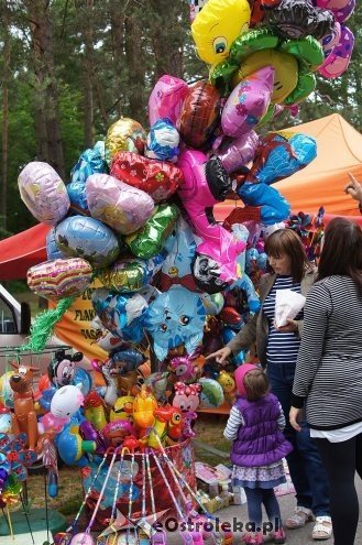 Światowy Zjazd Kurpiów i Wesele Kurpiowskie 2014 [21.06.2014] - zdjęcie #15 - eOstroleka.pl