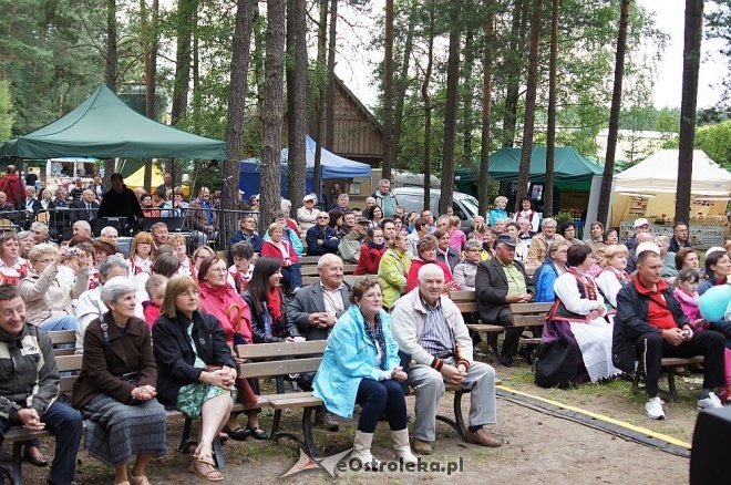 Światowy Zjazd Kurpiów i Wesele Kurpiowskie 2014 [21.06.2014] - zdjęcie #10 - eOstroleka.pl