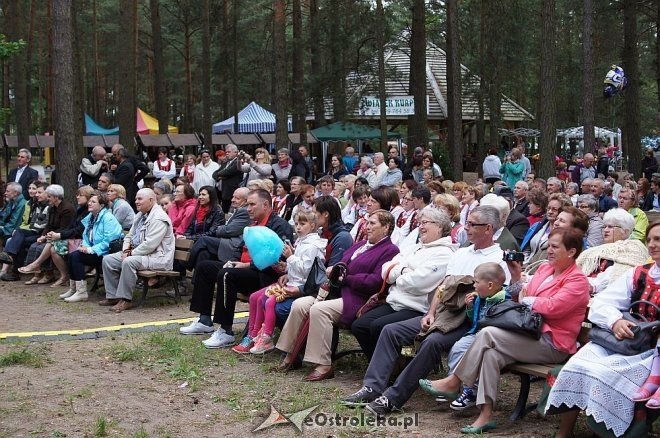 Światowy Zjazd Kurpiów i Wesele Kurpiowskie 2014 [21.06.2014] - zdjęcie #6 - eOstroleka.pl
