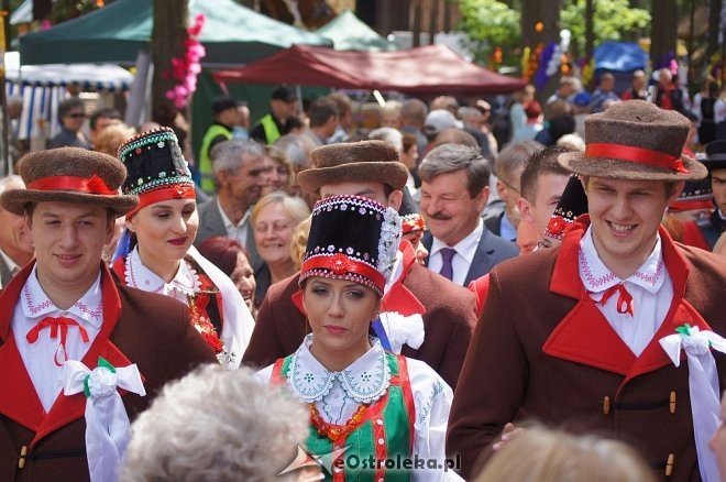 Wesele Kurpiowskie 2014: Ceremonia zaślubin po kurpiowsku [22.06.2014] - zdjęcie #183 - eOstroleka.pl