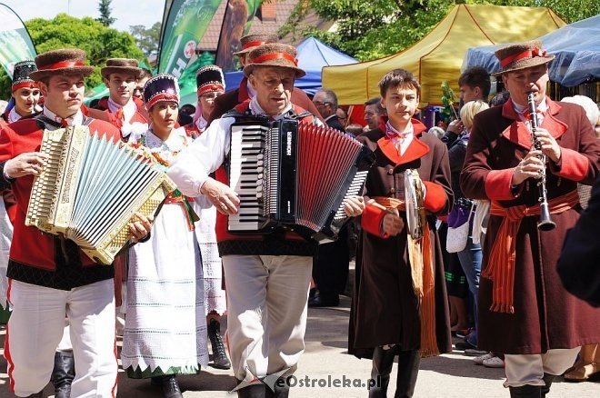 Wesele Kurpiowskie 2014: Ceremonia zaślubin po kurpiowsku [22.06.2014] - zdjęcie #177 - eOstroleka.pl