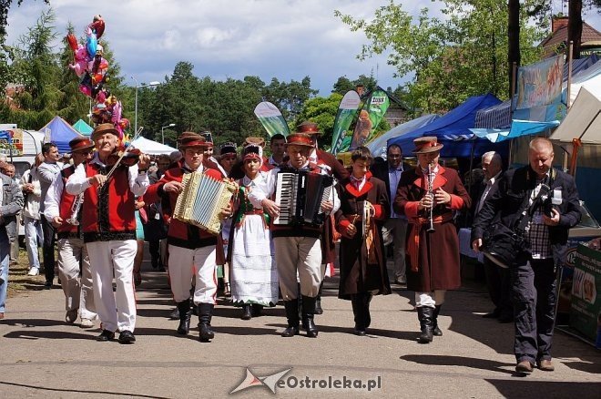 Wesele Kurpiowskie 2014: Ceremonia zaślubin po kurpiowsku [22.06.2014] - zdjęcie #174 - eOstroleka.pl