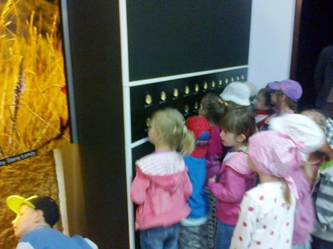 Przedszkolaki z Goworowa na wycieczce [ZDJĘCIA] - zdjęcie #35 - eOstroleka.pl