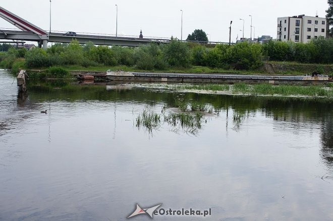 Narew w Ostrołęce ma niewiele ponad 80 cm głębokości [07.07.2014] - zdjęcie #1 - eOstroleka.pl