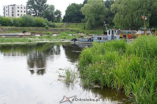 Narew w Ostrołęce ma niewiele ponad 80 cm głębokości [07.07.2014] - zdjęcie #2 - eOstroleka.pl