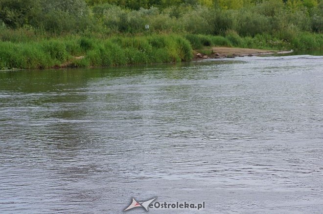 Narew w Ostrołęce ma niewiele ponad 80 cm głębokości [07.07.2014] - zdjęcie #10 - eOstroleka.pl