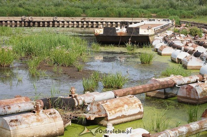 Narew w Ostrołęce ma niewiele ponad 80 cm głębokości [07.07.2014] - zdjęcie #8 - eOstroleka.pl