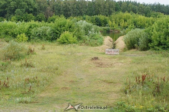 Narew w Ostrołęce ma niewiele ponad 80 cm głębokości [07.07.2014] - zdjęcie #4 - eOstroleka.pl