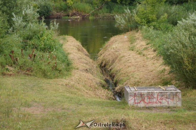 Narew w Ostrołęce ma niewiele ponad 80 cm głębokości [07.07.2014] - zdjęcie #3 - eOstroleka.pl
