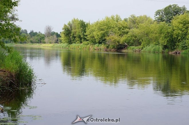 Narew w Ostrołęce ma niewiele ponad 80 cm głębokości [07.07.2014] - zdjęcie #13 - eOstroleka.pl