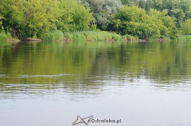 Narew w Ostrołęce ma niewiele ponad 80 cm głębokości [07.07.2014] - zdjęcie #14 - eOstroleka.pl