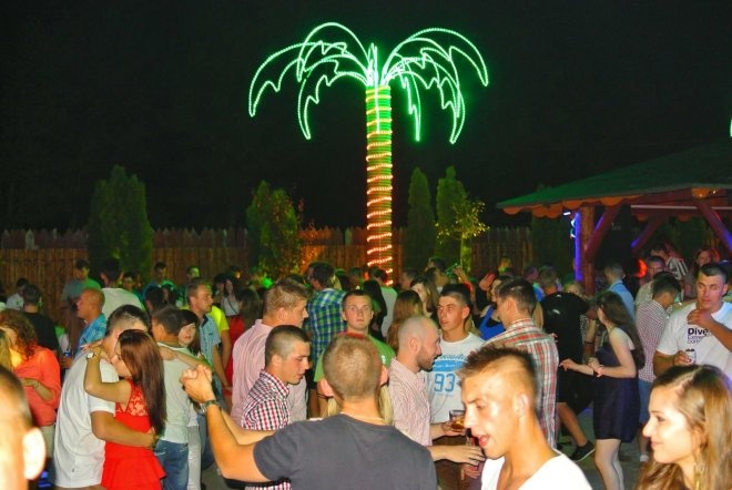 Ogólnopolski Zlot Klubowiczy Ibizy [12.08.2014] - zdjęcie #153 - eOstroleka.pl