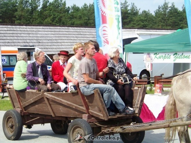 Otwarcie Miodobrania Kurpiowskiego 2014 (31.08.2014) - zdjęcie #61 - eOstroleka.pl