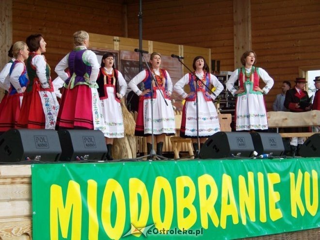 Otwarcie Miodobrania Kurpiowskiego 2014 (31.08.2014) - zdjęcie #43 - eOstroleka.pl